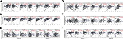 Systematic Construction and Validation of a Novel Macrophage Differentiation–Associated Prognostic Model for Clear Cell Renal Cell Carcinoma